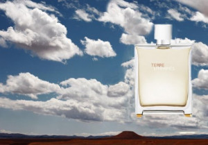 Hermes Terre D'Hermes Eau Tres Fraiche EDT 125ml за Мъже - Img 3
