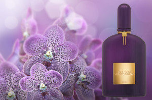 Tom Ford Velvet Orchid Lumiere EDP 50ml за Жени - Img 2
