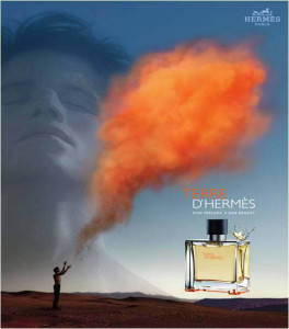 Hermes Terre D'Hermes EDT 100ml за Мъже БЕЗ ОПАКОВКА - Img 3