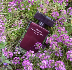 Narciso Rodriguez for Her L'Absolu EDP 100ml за Жени БЕЗ ОПАКОВКА - Img 2