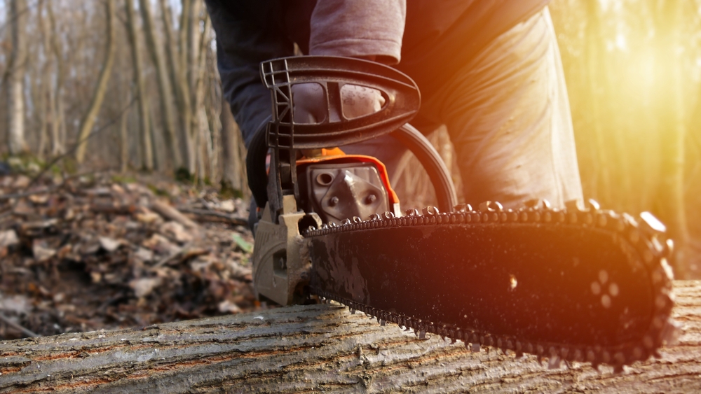 Cum să îți pregătești drujba pentru sezonul rece: sfaturi pentru întreținere de la Micul Fermier