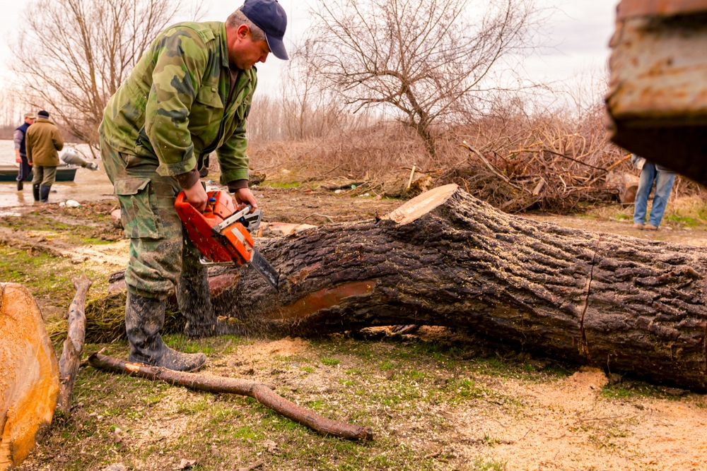 Cum să economisești combustibil și energie atunci când folosești o drujbă