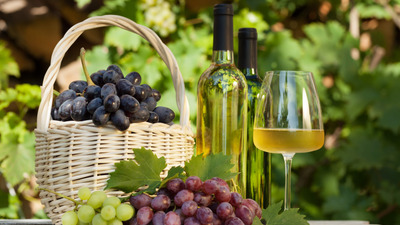 Momentul cel mai asteptat de catre viticultori – recoltarea strugurilor
