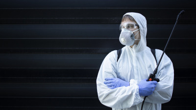 Insecticide: tipuri, avantaje, dezavantaje si utilizari