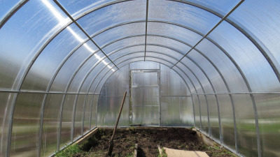 Pregatirea solului in solar: tot ce trebuie sa stii despre aceasta etapa