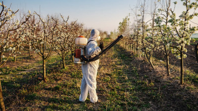 Pesticidele: ce sunt, cate tipuri exista si cum se utilizeaza?