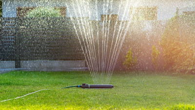 Irigarea gazonului: cele mai bune practici pentru un gazon sanatos si verde