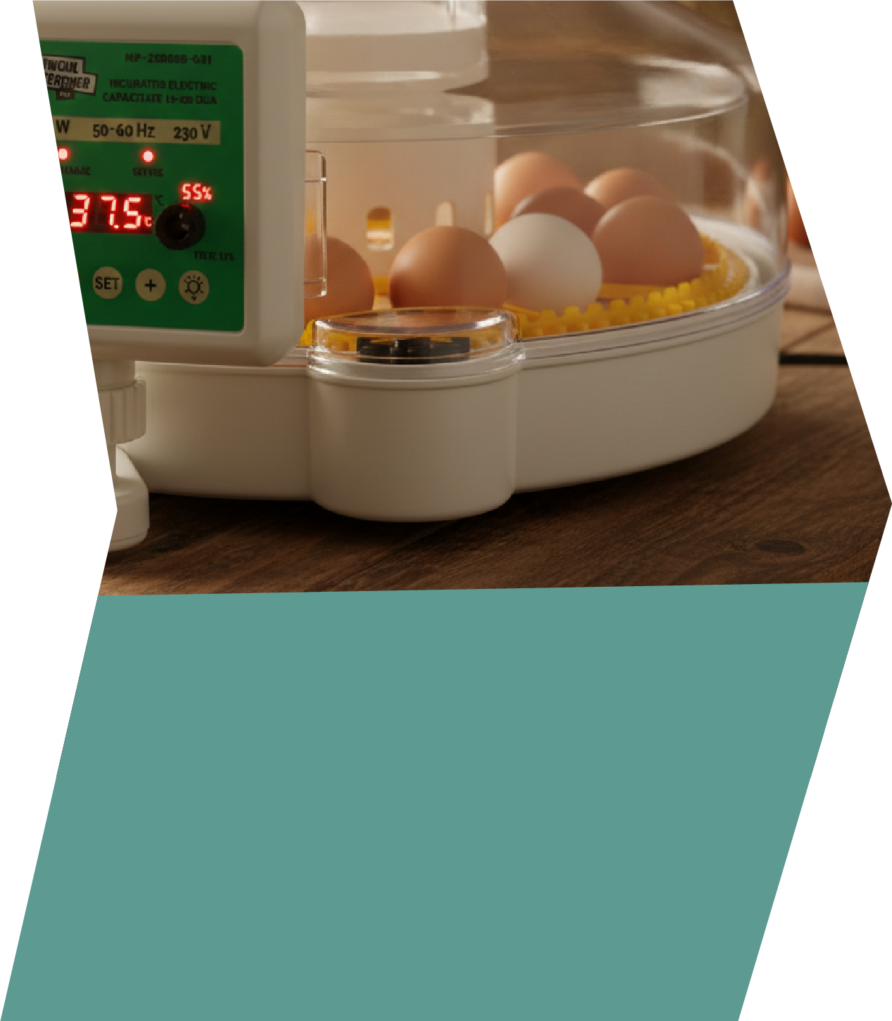 Incubator electric Micul Fermier capacitate 35-105 oua