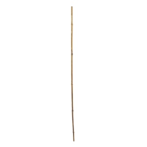 Arac gradina Micul Fermier BN 75cm Ø8-10mm