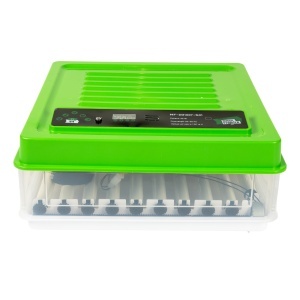 MF 64-175 electric egg incubator
