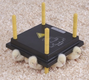 Chicken heating panel 35W 30x40cm - Closca Electrica - Img 4