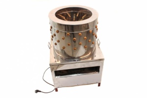 Bird feeder WQ-60