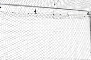 Cotet (tarc) pasari, 3x8x2m, Micul Fermier - Img 9