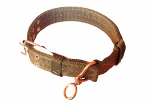 Dog leash GREEN MATERIAL 10pcs/set
