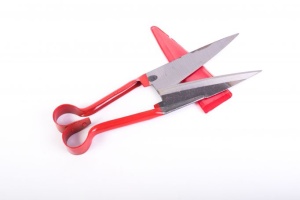 Little Farmer shears for shearing sheep, Red colour