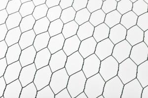Cotet (tarc) pasari, 3x10x2m, Micul Fermier - Img 3