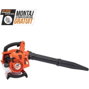 Suflanta frunze, Ruris A7, 1 CP, motor 2 timpi