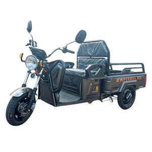 C:\Users\silvi\iCloudDrive\SuperBox\Vehicule Electrice\voltarom spx1 1600w\spx
