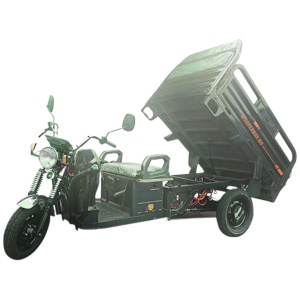 Triciclu Electric 2000W, cu reductor, Voltarom, SuperBox, SPX2, fara permis, viteza maxima 25 km pe ora, autonomie max. 68 km, verde