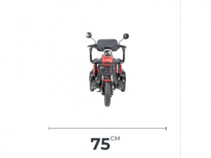 Triciclu Electric, fara permis, Motor 1000W, 2-3 locuri, APEC APM2, Autonomie 36km, Omologat RAR
