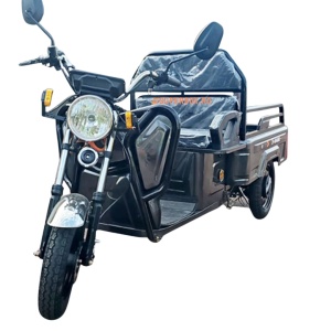 C:\Users\silvi\iCloudDrive\SuperBox\Vehicule Electrice\voltarom spx1 1600w\spx