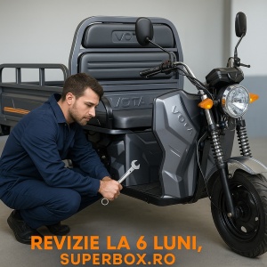 Revizie la 6 Luni pentru triciclu electric cargo (de marfa) – Cu Deplasare Gratuită la Domiciliu