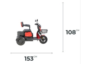 Triciclu Electric, fara permis, Motor 1000W, 2-3 locuri, APEC APM2, Autonomie 36km, Omologat RAR