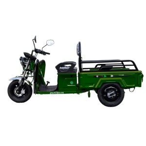 Triciclu Electric Voltarom, SuperBox, SPX1, Fara Permis, cu treapta de forta, motor 1600W, viteza maxima 25 km pe ora autonomie pana la 60 km, verde