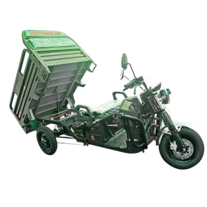 Triciclu Electric 2000W, cu reductor, Voltarom, SuperBox, SPX2, fara permis, viteza maxima 25 km pe ora, autonomie max. 68 km, verde