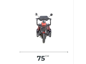 Triciclu Electric, fara permis, Motor 1000W, 2-3 locuri, APEC APM2, Autonomie 36km, Omologat RAR