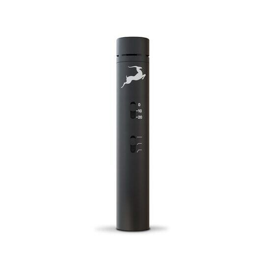 Antelope Zen Go Synergy Core + EDGE Note