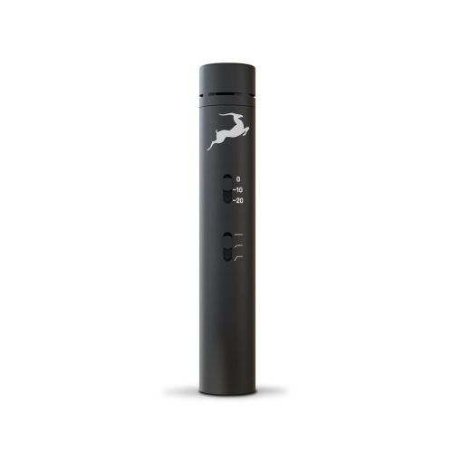 Antelope EDGE NOTE