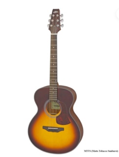 Chitară Acustică Aria AF-10 MTTS (Matte Tobacco Sunburst)