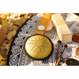 Steel Tongue Drum Meinl Sonic Energy MSTD3G – Mini (Gold) - Img 8