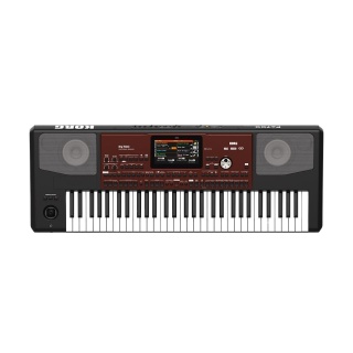 clapa-aranjor-portabil-korg-Pa700-negru-visiniu-orga-ritmuri-3