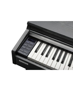 Pian Digital Kurzweil CUP M1 SR – 88 Clape H1 Ivory, KORE 2.1, 256 Voci, Bluetooth 5.2, Rosewood - Img 6