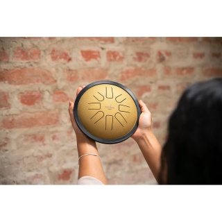 Steel Tongue Drum Meinl Sonic Energy SSTD3G – Small (Gold) - Img 10