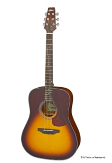 Chitară Acustică Aria AD-10 TS (Gloss Tobacco Sunburst)