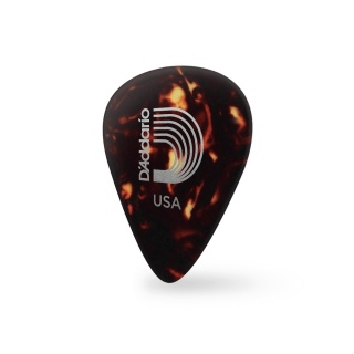 pana-chitara-shell-2