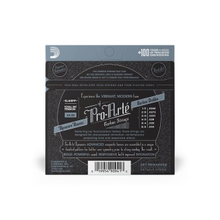 corzi-chitara-clasica-carbon -D'Addario-EJ45FF-3