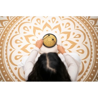Steel Tongue Drum Meinl Sonic Energy SSTD3G – Small (Gold) - Img 7