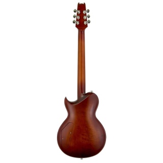 chitara-electrica-aria-pro II-PE-1500RI-maro-5