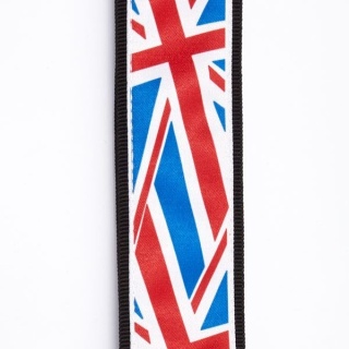 curea-chitara-d'addario-model-londra-anglia-3