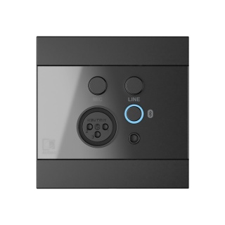 Panou perete Audac WP225/B Negru