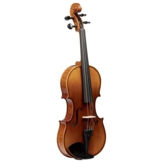 Vioară Vienna VO44 Opera 4/4 cu set de accesorii
