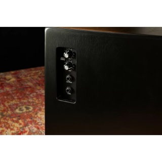 Cajon cu pickup Meinl PSC100B – amplificare integrată - Img 5