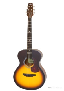 Chitară Acustică Aria AF-10 TS (Gloss Tobacco Sunburst)