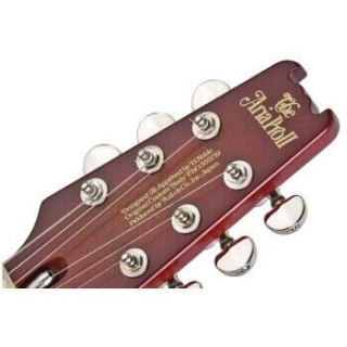 chitara-electrica-aria-pro II-PE-1500RI-maro-2