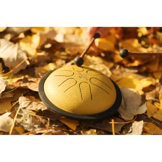 Steel Tongue Drum Meinl Sonic Energy MSTD3G – Mini (Gold) - Img 6
