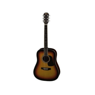 Chitara Acustica Fiesta FST-300 BS